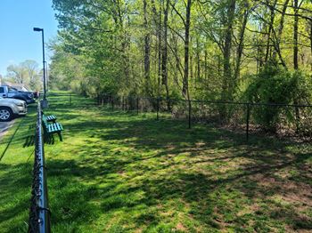 Leash free dog park